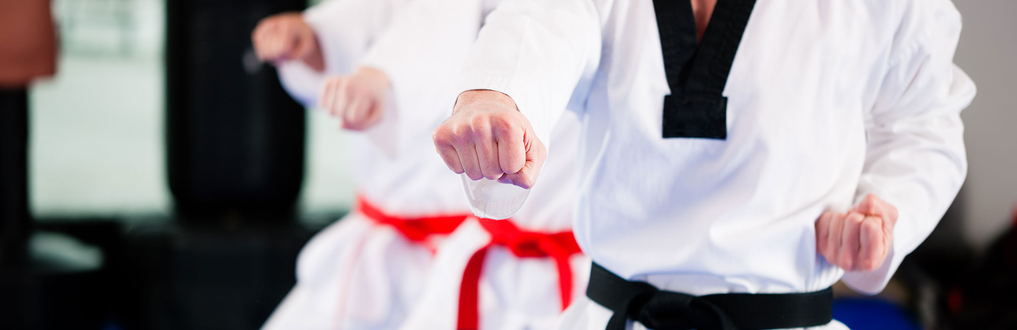Custom Made Taekwondo Medals