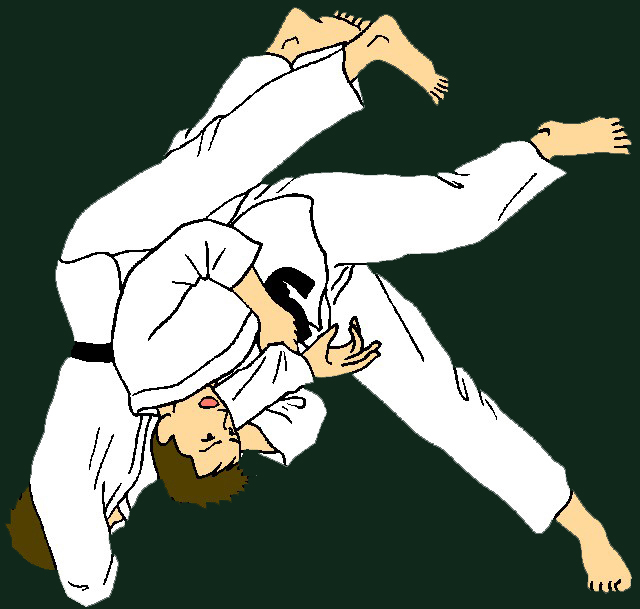 Custom Made Judo Medals